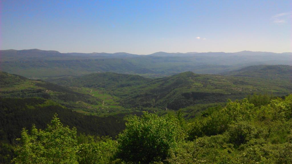 Agroturizam Nezic Villa Oprtalj Exterior foto