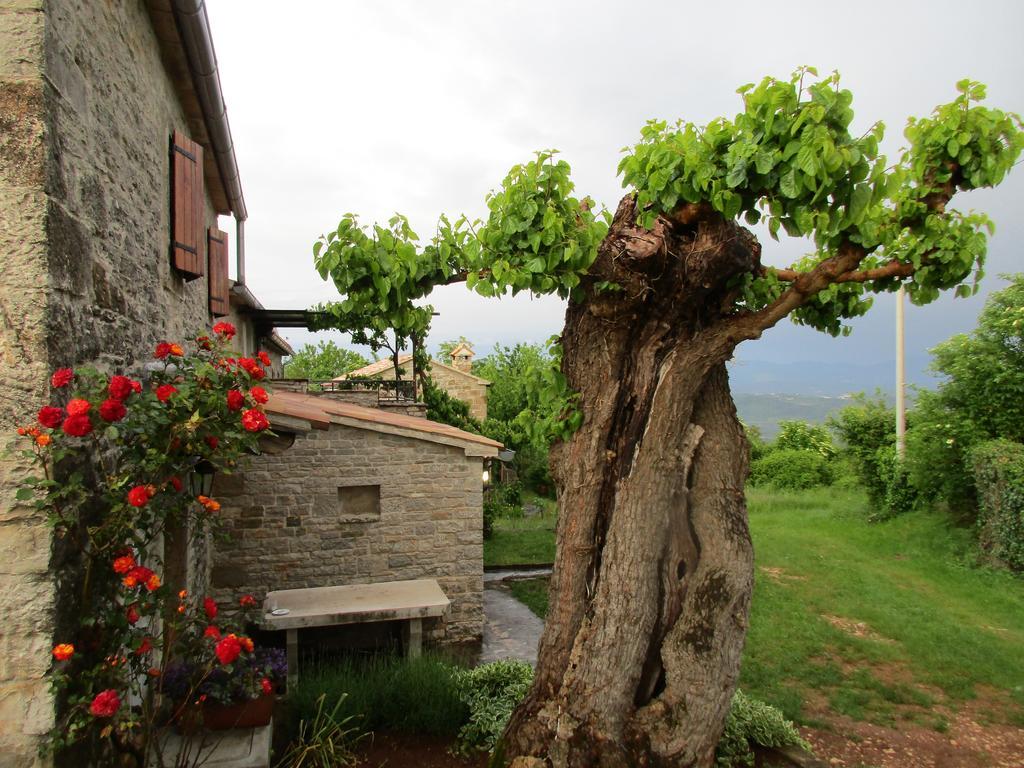Agroturizam Nezic Villa Oprtalj Exterior foto